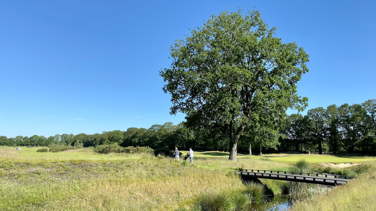 Alle Golfbanen in Den Bosch en Omgeving