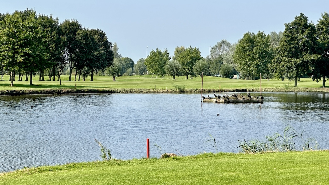 Golfbaan Delftland in de Buurt van Rotterdam en Den Haag