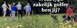 Types zakelijke golfer